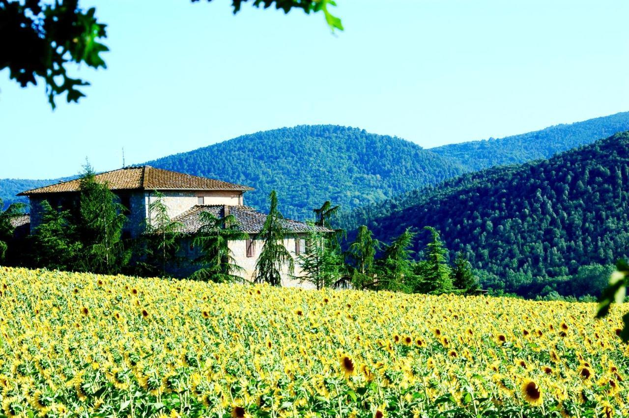 Agriturismo Montioni Sovicille Exterior photo